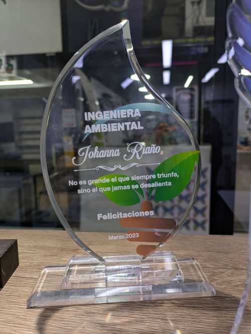 Trofeo - PXL_20240627_215225008